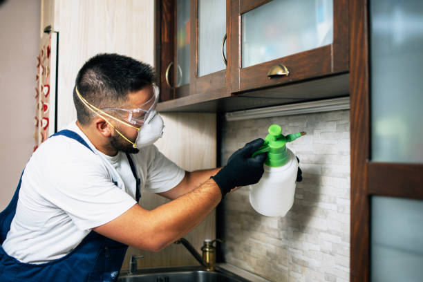 Best Bed Bug Extermination  in Mount Gilead, OH