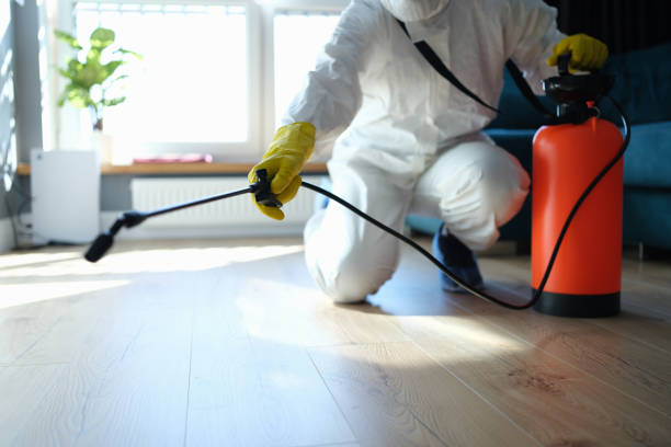 Best Wasp Removal Services  in Mount Gilead, OH