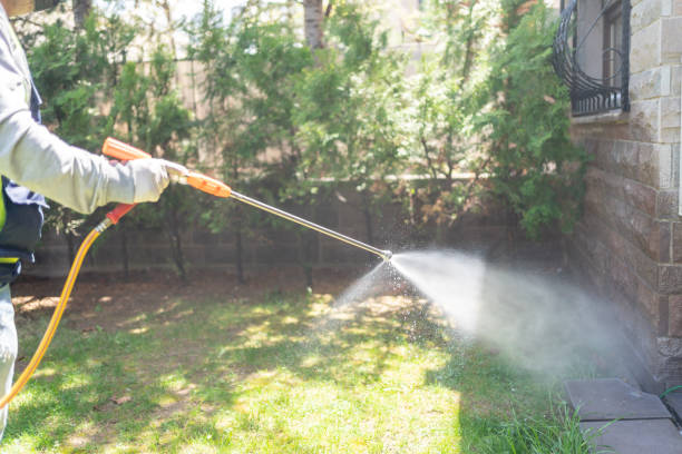 Best Spider Control Near Me  in Mount Gilead, OH