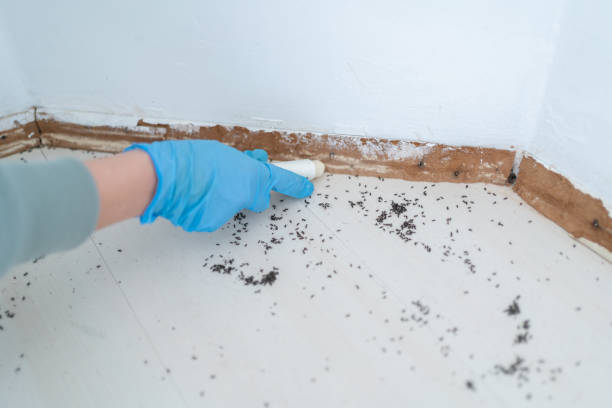 Best Affordable Pest Control Services  in Mount Gilead, OH