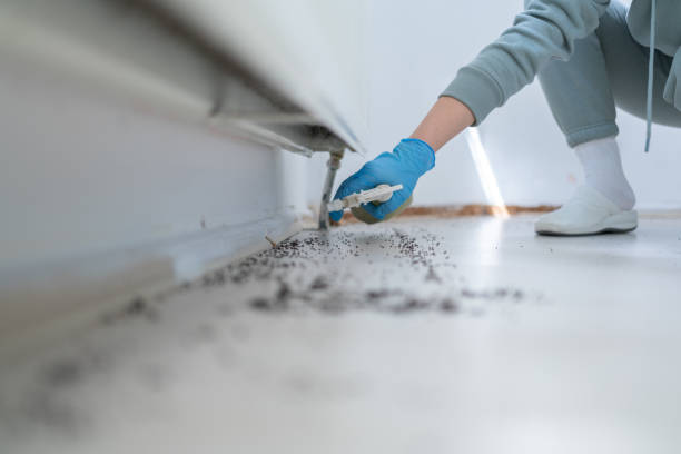 Best Pest Control Treatment  in Mount Gilead, OH